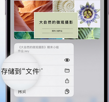 临城apple维修中心分享iPhone文件应用中存储和找到下载文件