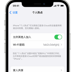 临城apple服务站点分享iPhone上个人热点丢失了怎么办 