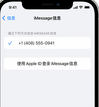 临城apple维修iPhone上无法正常发送iMessage信息 