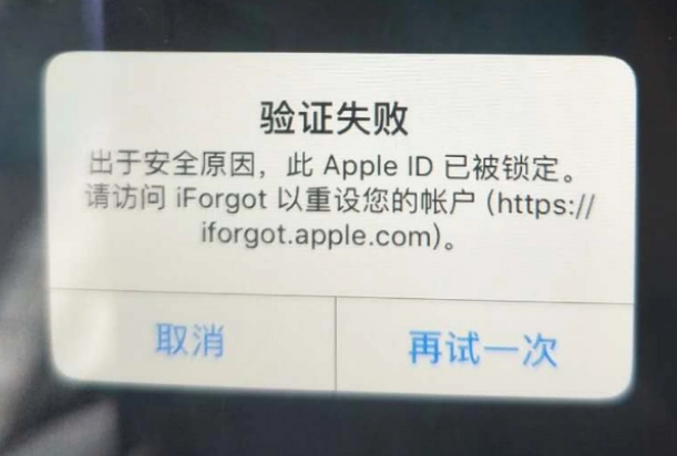 临城iPhone维修分享iPhone上正常登录或使用AppleID怎么办 