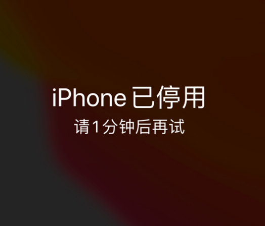 临城苹果手机维修分享:iPhone 显示“不可用”或“已停用”怎么办？还能保留数据吗？ 