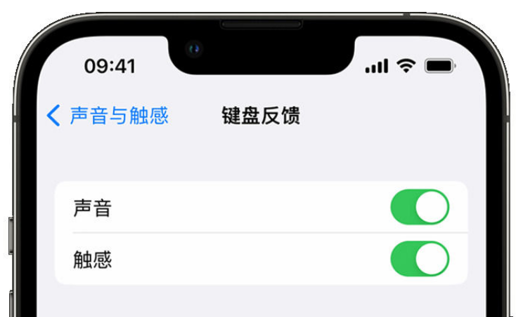 临城苹果手机维修分享iPhone 14触感键盘使用方法 