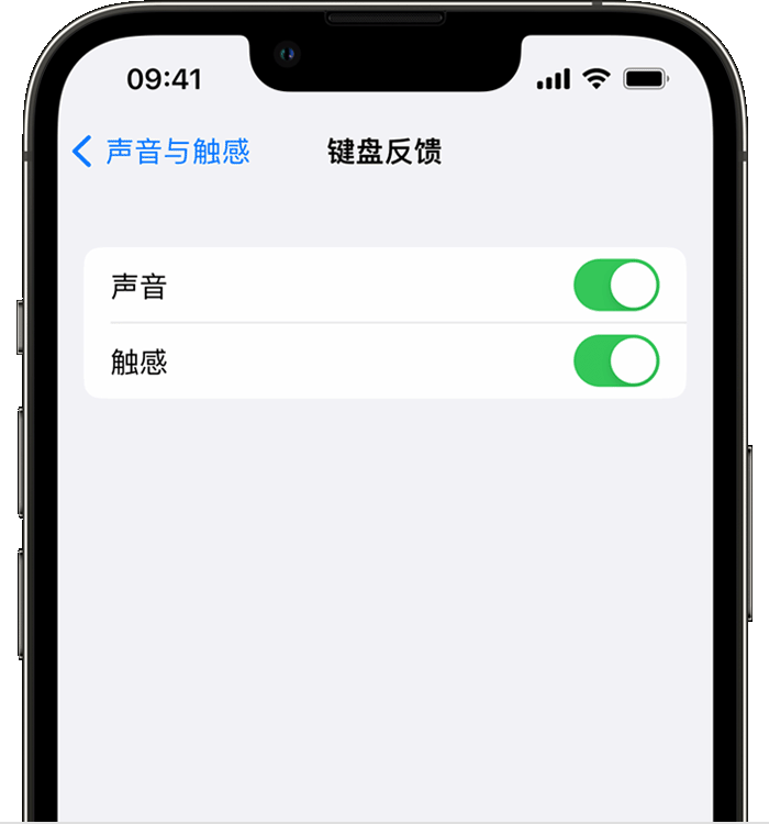 临城苹果14维修店分享如何在 iPhone 14 机型中使用触感键盘 