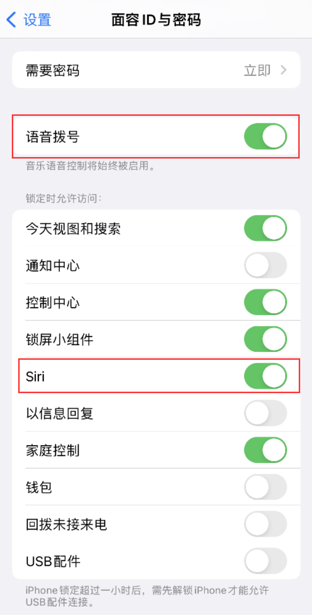 临城苹果维修网点分享不解锁 iPhone 的情况下通过 Siri 拨打电话的方法 