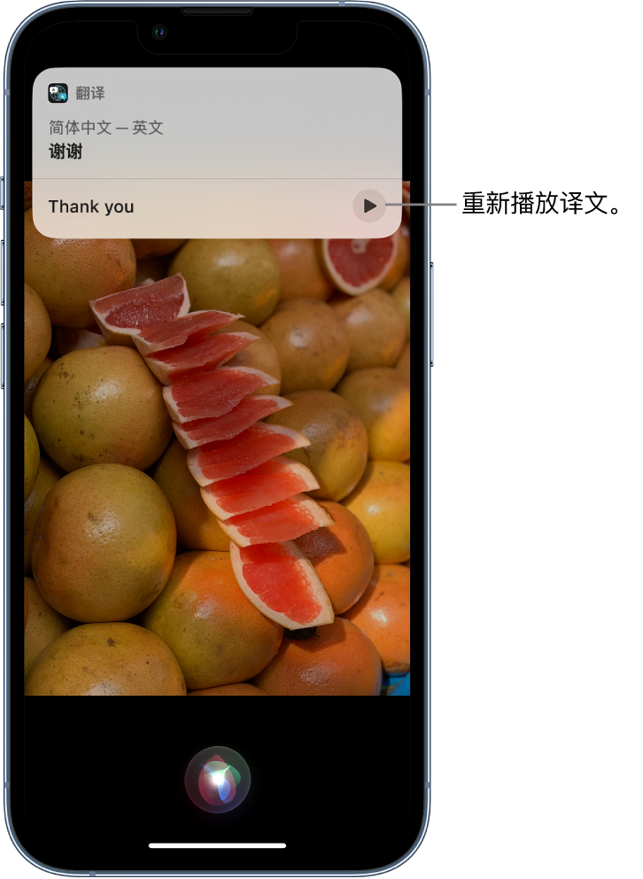 临城苹果14维修分享 iPhone 14 机型中使用 Siri：了解 Siri 能帮你做什么 