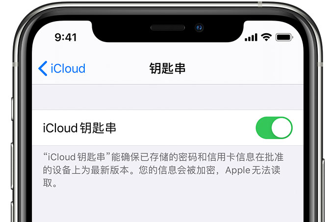 临城苹果手机维修分享在 iPhone 上开启 iCloud 钥匙串之后会储存哪些信息 